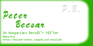 peter becsar business card